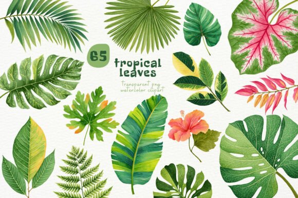 Download Watercolor Tropical Leaves PNG Clipart - Color Collection