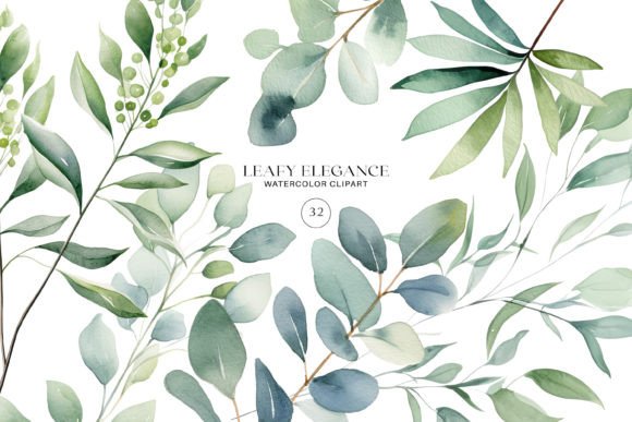 Download Watercolor Eucalyptus Leaf Clipart Set - Color Collection