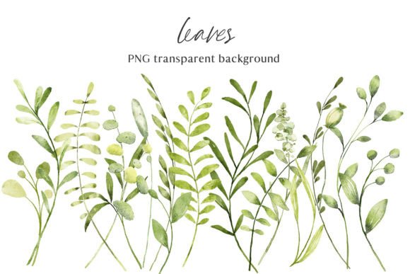 Download Leaves, Watercolor Clipart, PNG Files. - Color Collection