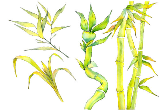 Download Bamboo Watercolor Product&nbsp; - Color Collection