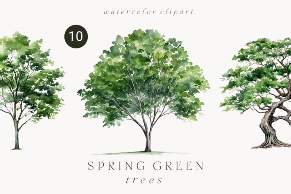 Download Watercolor Green Tree Forest Clipart - Color Collection