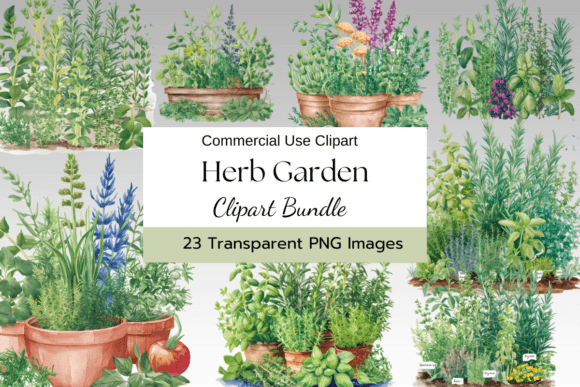 Download Herb Garden Watercolor Clipart - Color Collection
