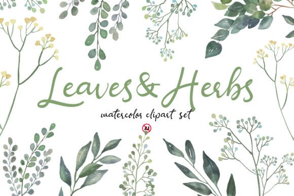 Download Watercolor Leaves &amp; Herbs Clipart Set - Color Collection